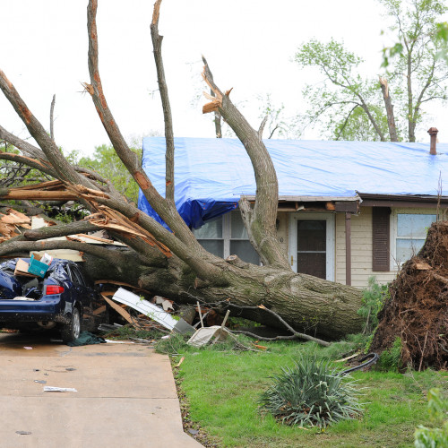 Storm Damage Specialist